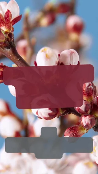 Instagram post from convalescotherapiezentrum. This post is in position 7.