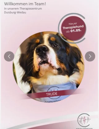 Instagram post from convalescotherapiezentrum. This post is in position 1.