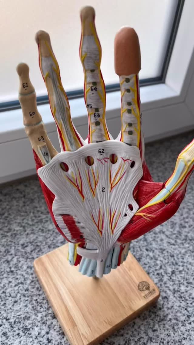 Instagram post from convalescotherapiezentrum. This post is in position 0.